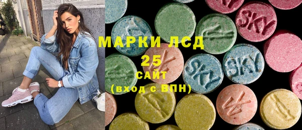 ECSTASY Богданович