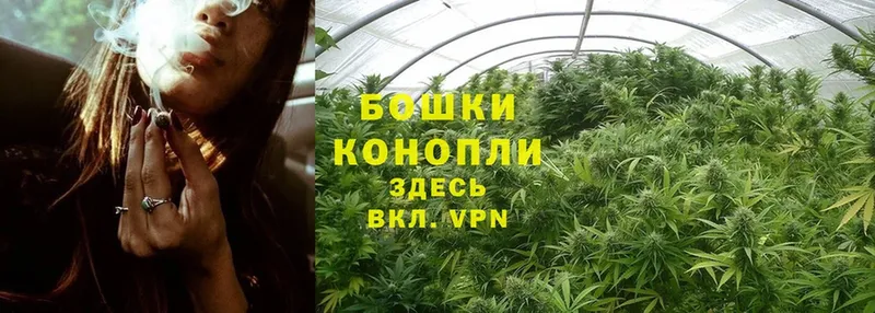 Шишки марихуана SATIVA & INDICA  Дорогобуж 